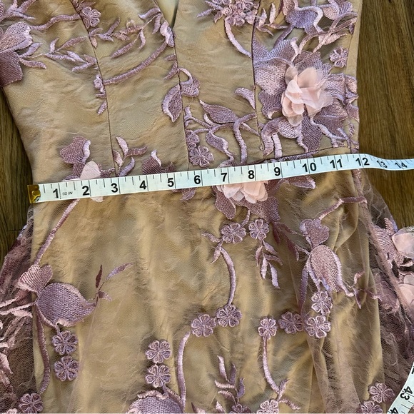 Dress the Population Audrey Dress XS  Pink 3D Floral Lace Plunge Fairycore Midi - Picture 11 of 13